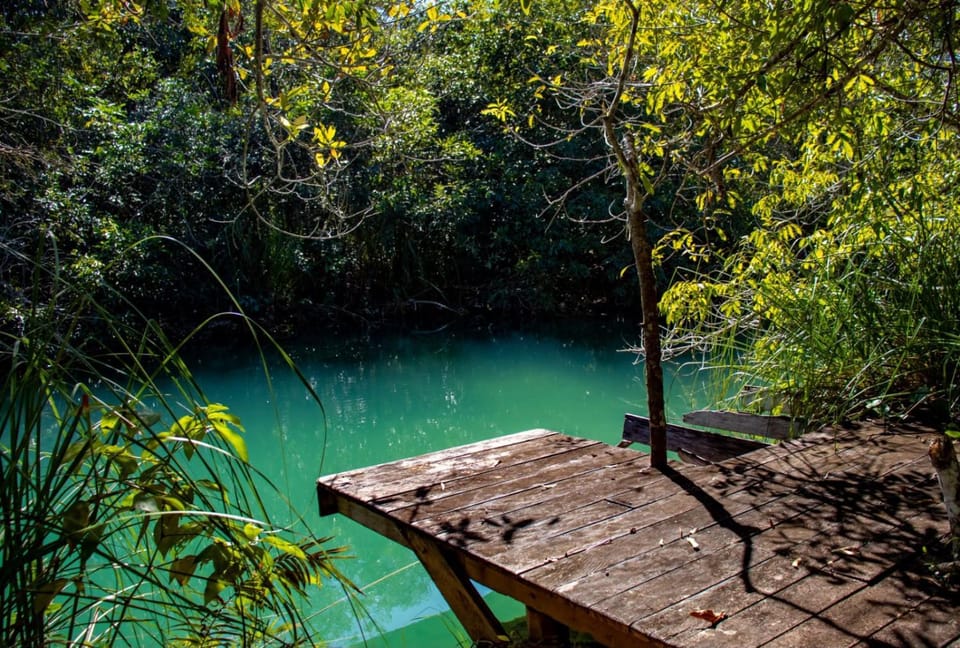 Natural landscape, River view