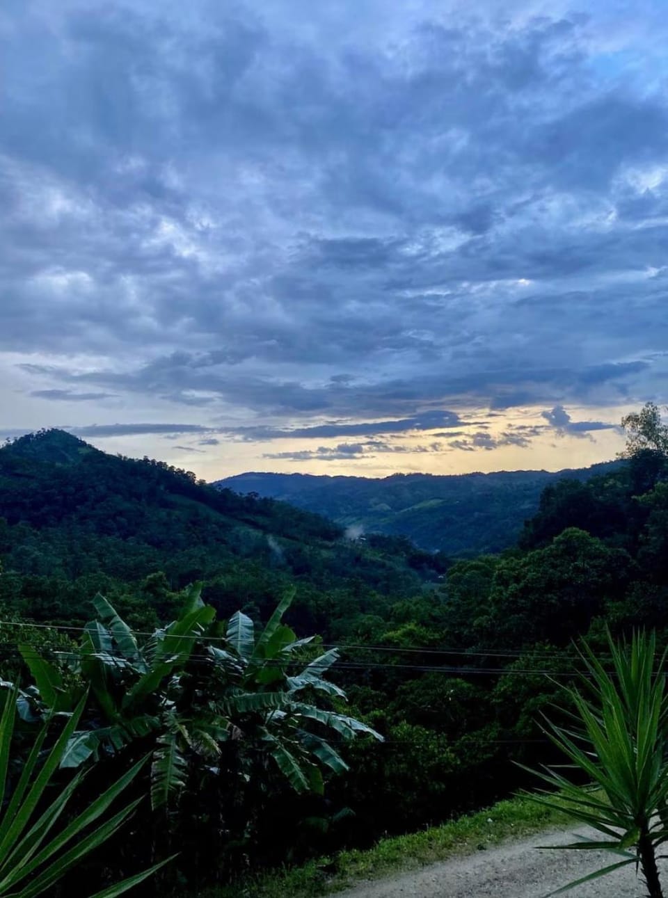 Mountain view