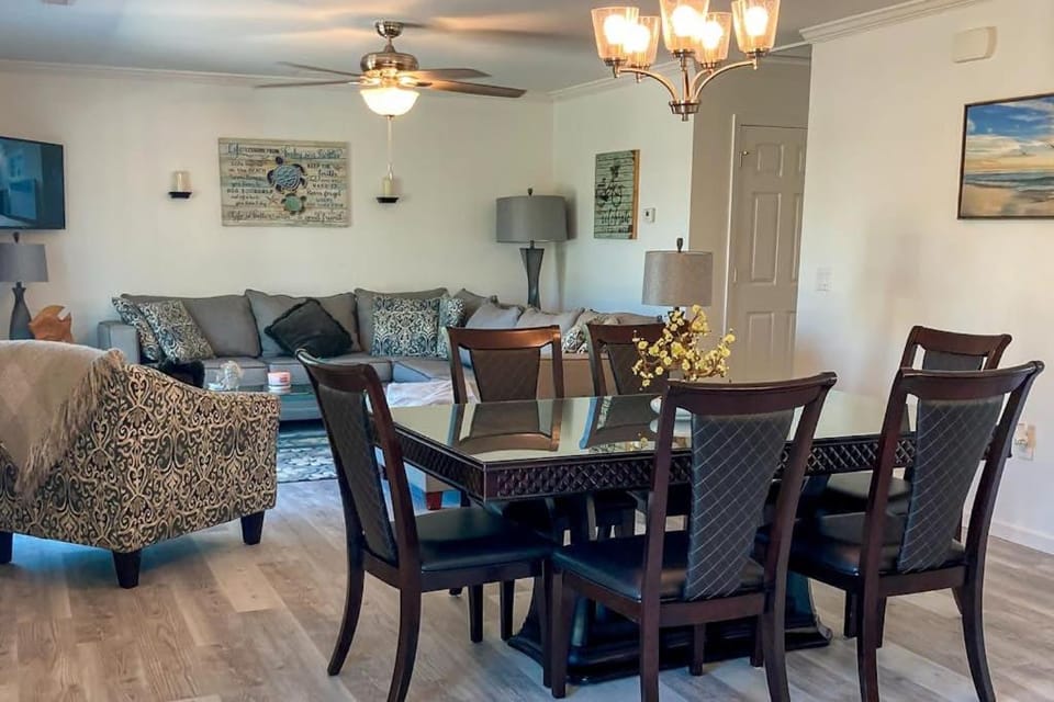 Dog friendly ocean view house with central AC and washer dryer snowbird friendly House in Saint George Island