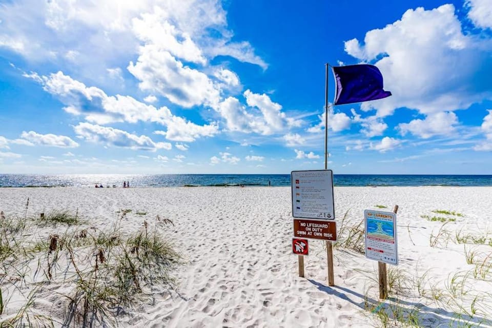 Splendid home near the canal with firepit patio grill enclosed yard laundry AC House in Perdido Key