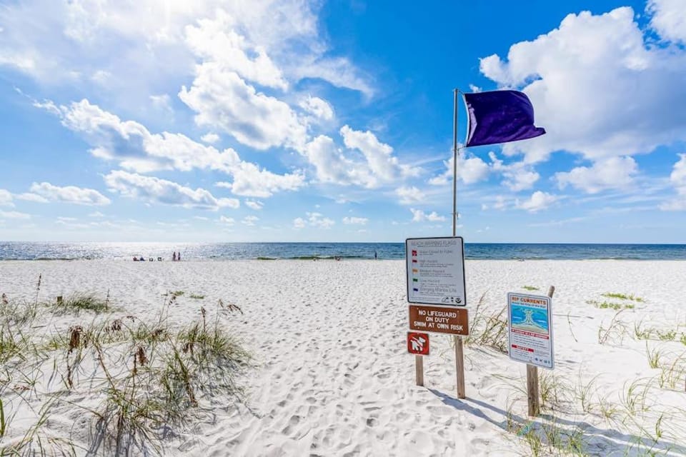 Dog friendly coastal townhome with golf course views patios and washer dryer House in Florida