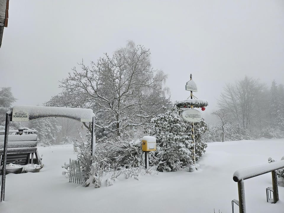 Winter