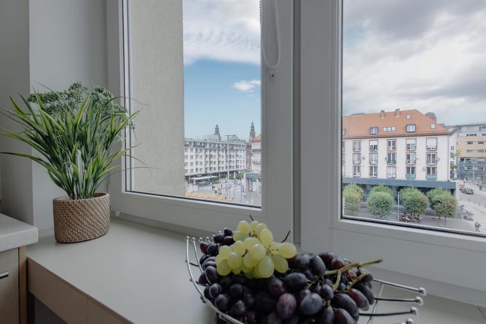 Day, Kitchen or kitchenette, City view, kitchen, kitchen