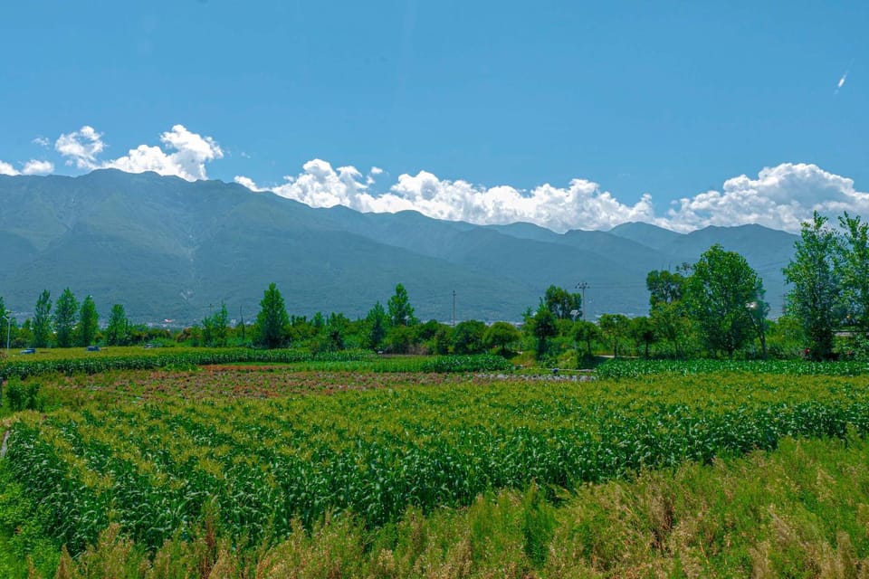 Spring, Day, Natural landscape