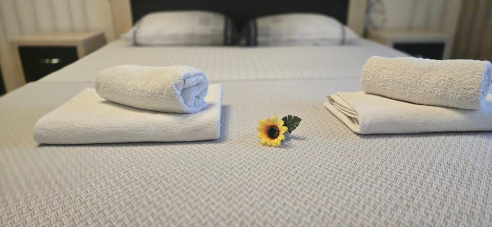 Three Rooms Comfort Apartment in Moldova