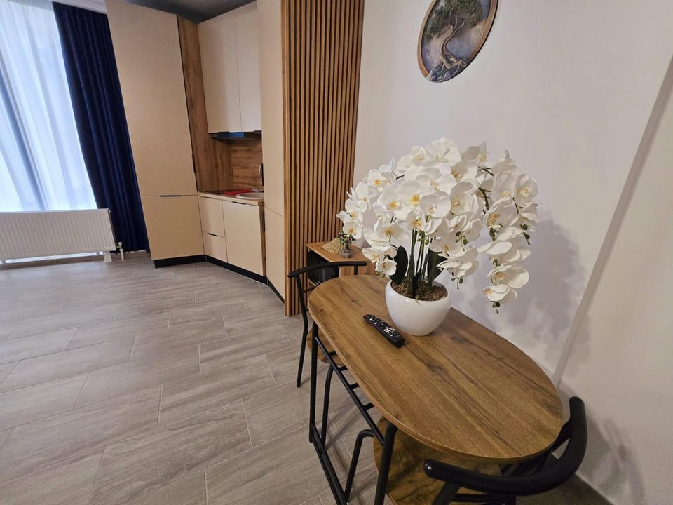 WaterFront Luxury Studio - New Stefan Promenada Mamaia Nord langa plaja Apartment in Constanța County