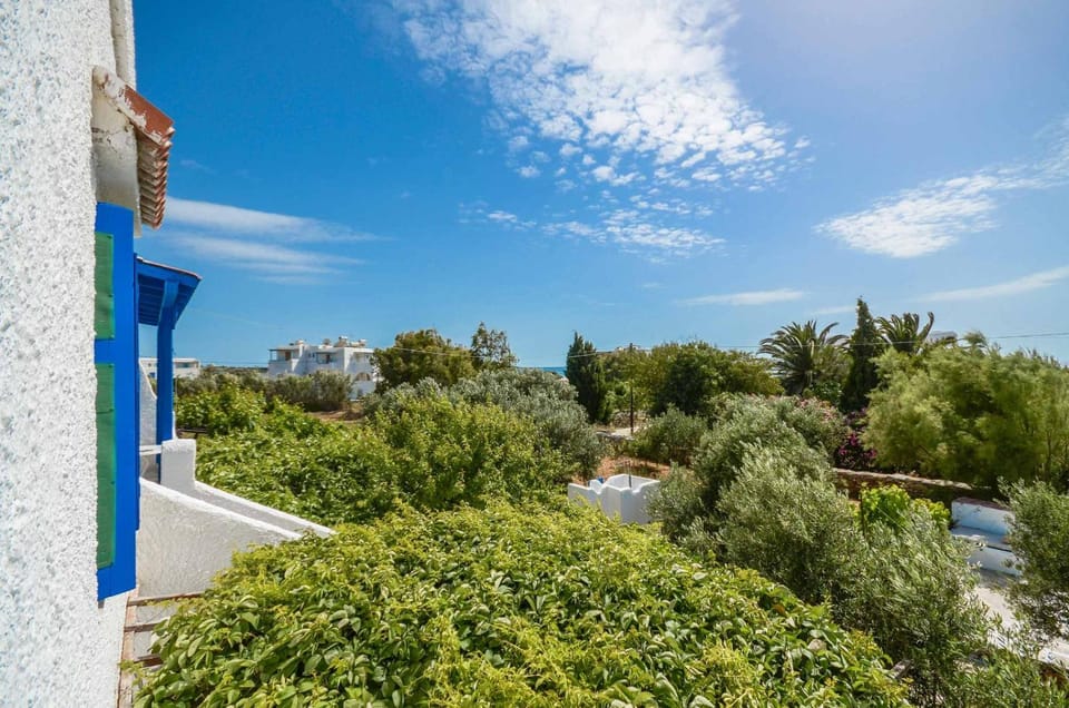 Natural landscape, Garden view