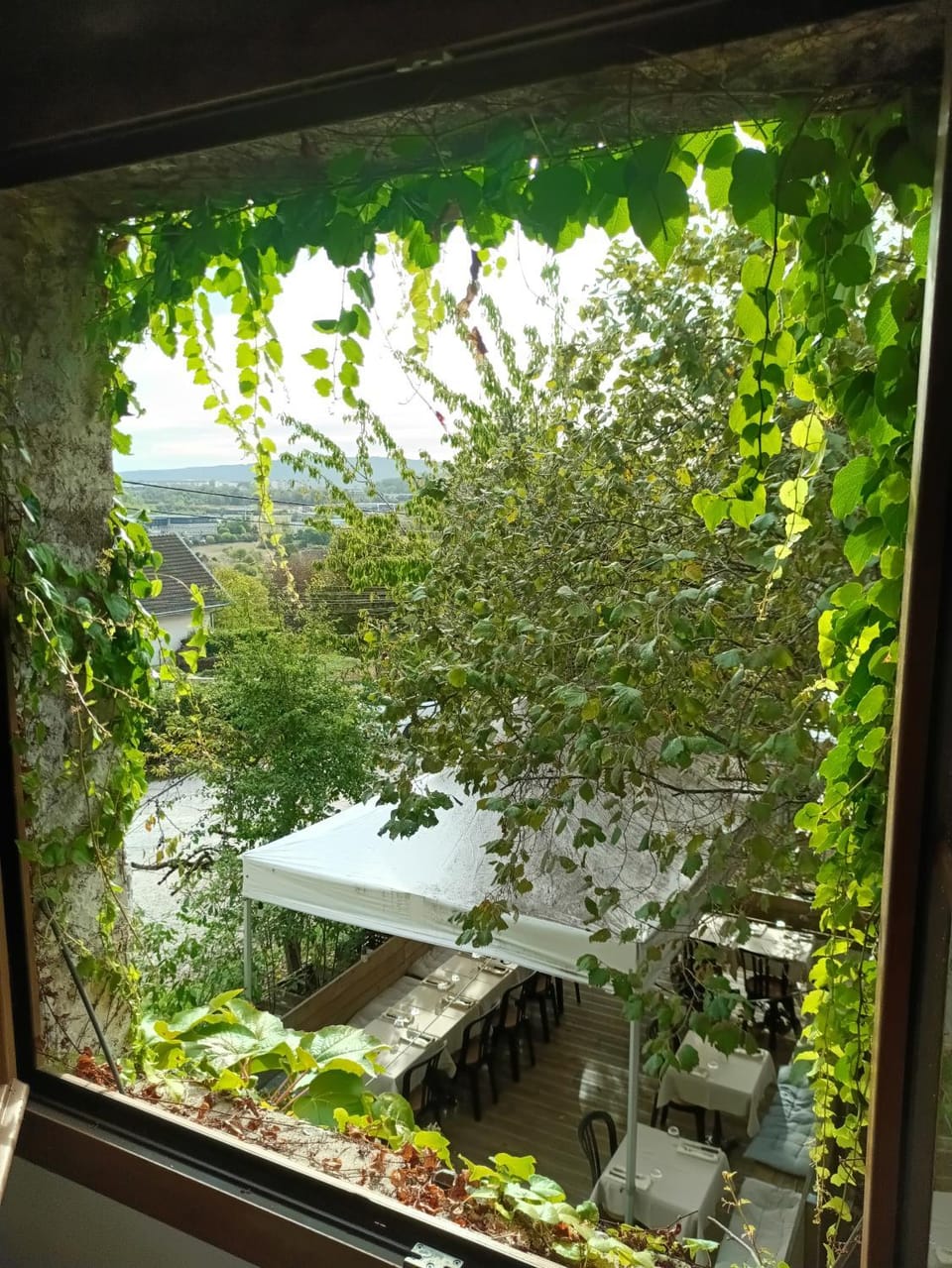 View (from property/room)