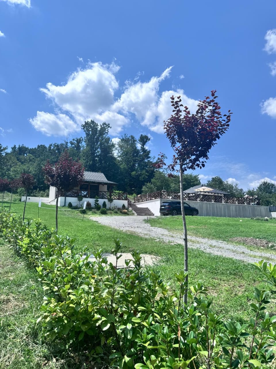 Garden view