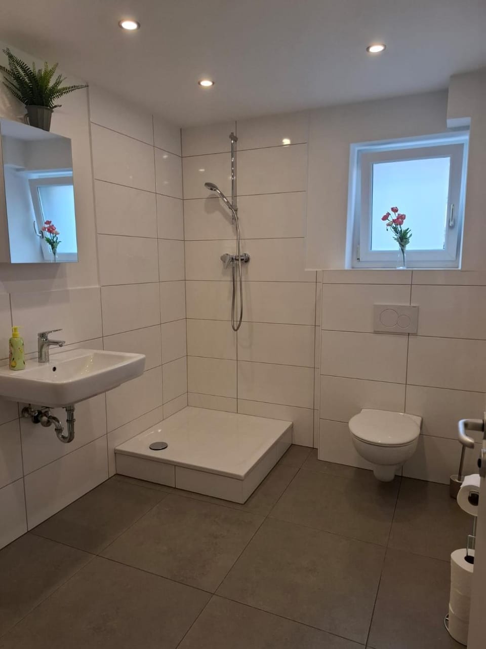 Shower, Bathroom