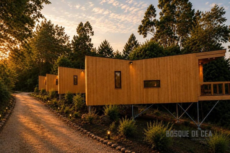 Bosque de Cea Apartment in Galicia
