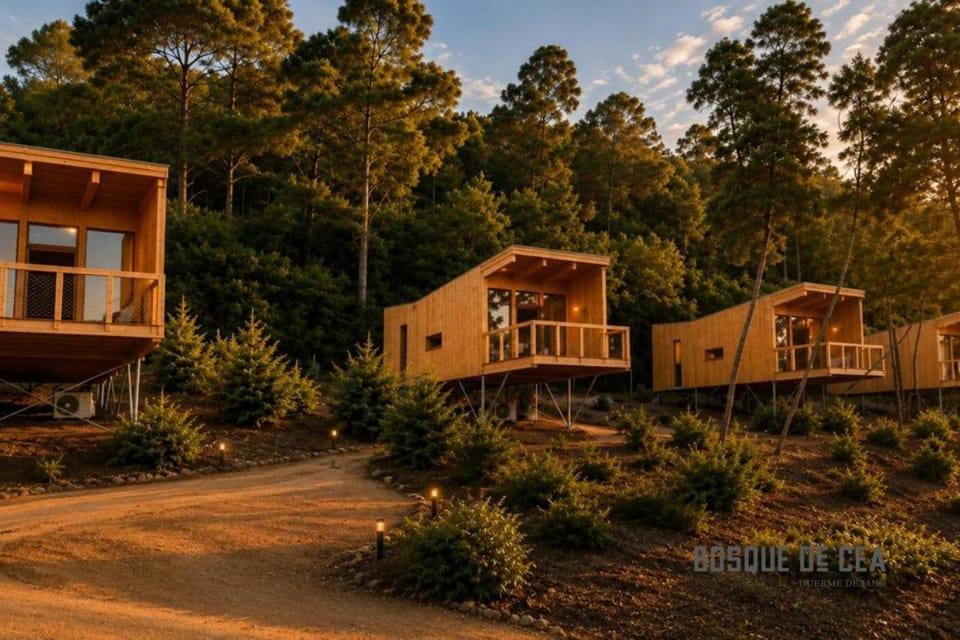 Bosque de Cea Apartment in Galicia