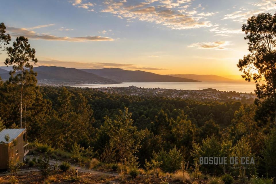 Bosque de Cea Apartment in Galicia
