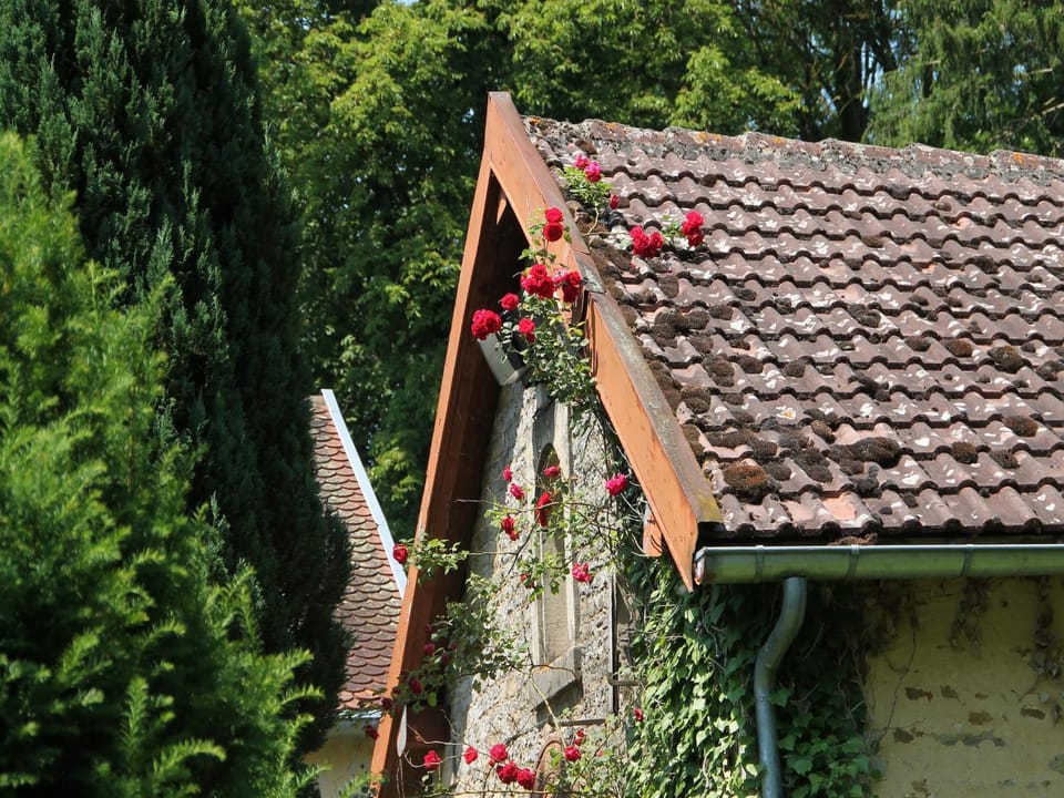 Decorative detail