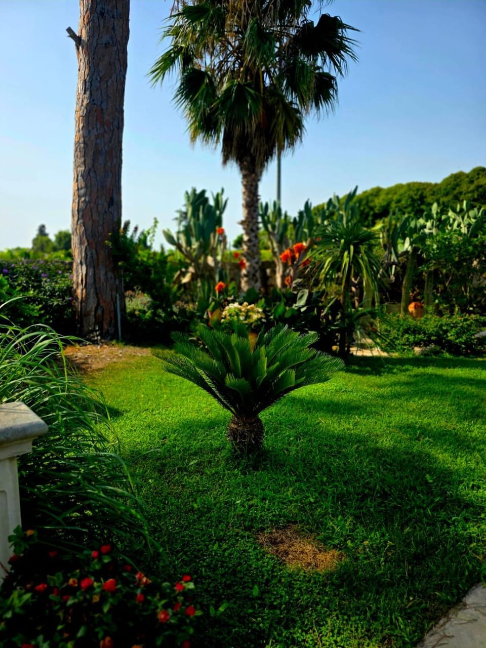 Villa Kepos Apartment in Apulia