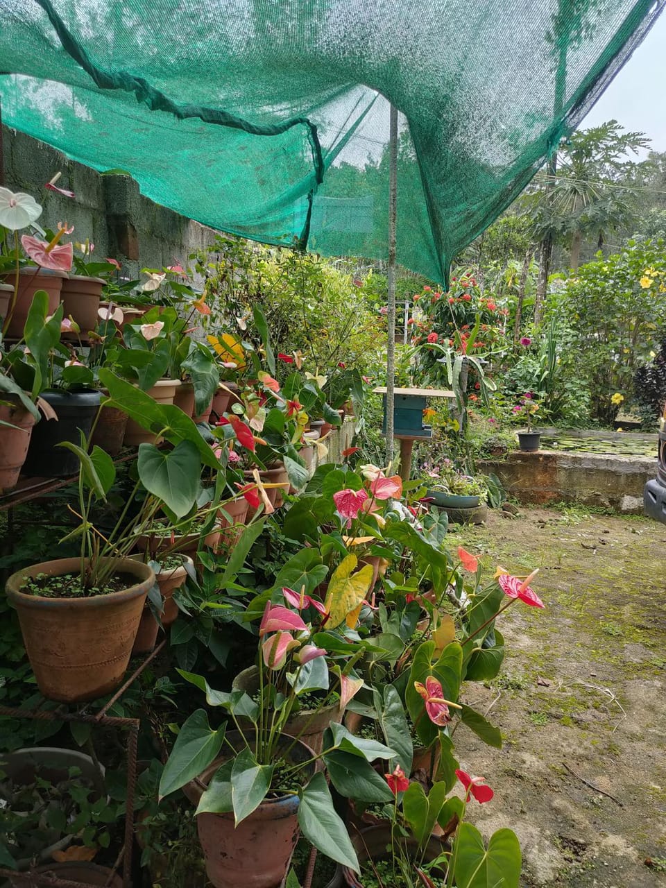 Kordi Estate Stay House in Karnataka