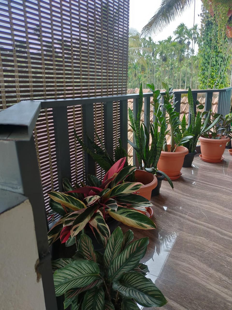 Kordi Estate Stay House in Karnataka