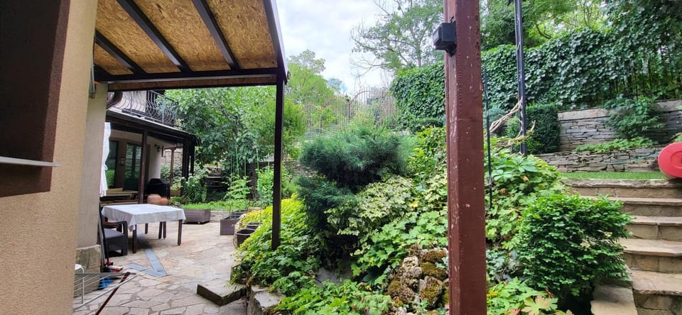 Day, Garden