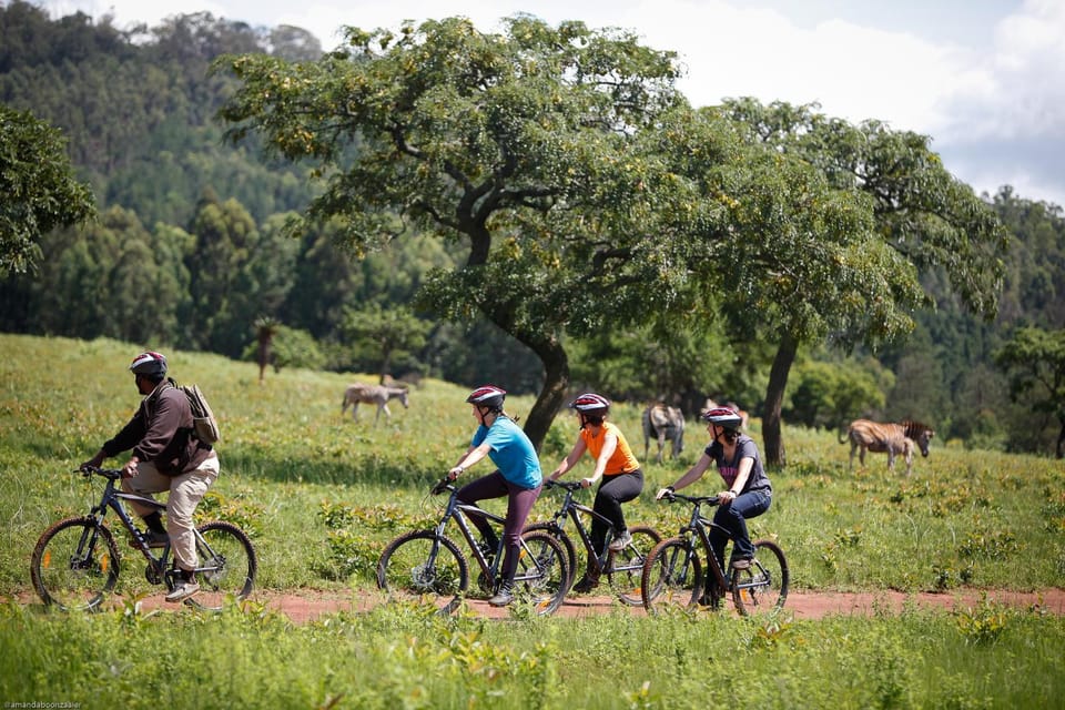 Cycling