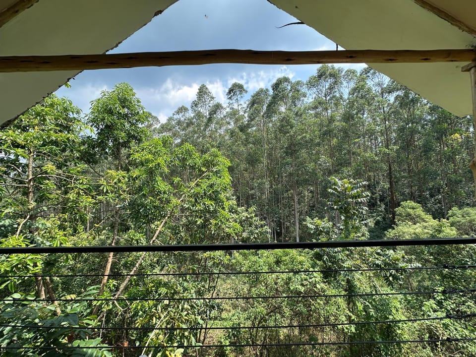 Tinkerbird Lodge Apartment in Uganda