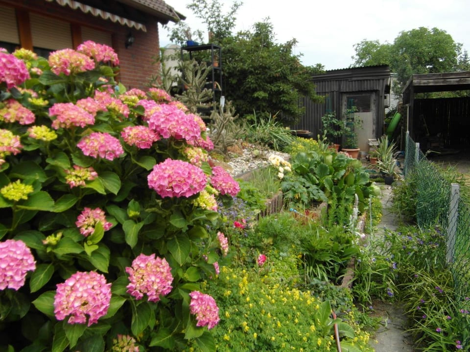 Garden view