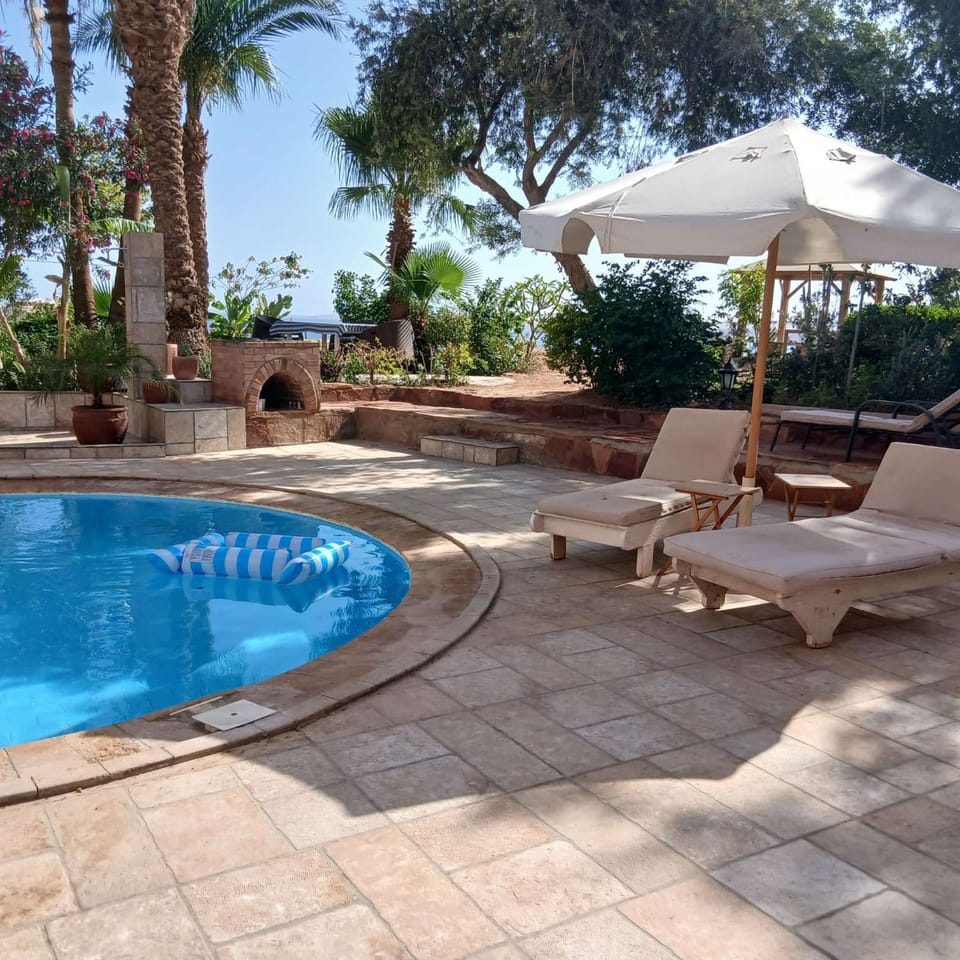 Garden, Garden view, Pool view, Swimming pool, Swimming pool, sunbed