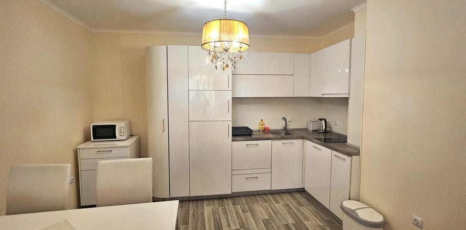 Kitchen or kitchenette, dishwasher, stove