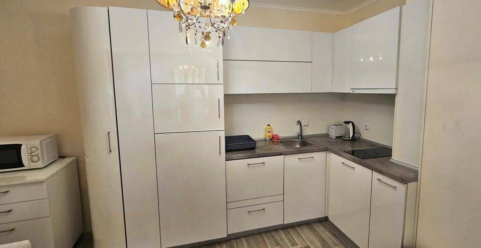 Coffee/tea facilities, Kitchen or kitchenette, dishwasher, stove