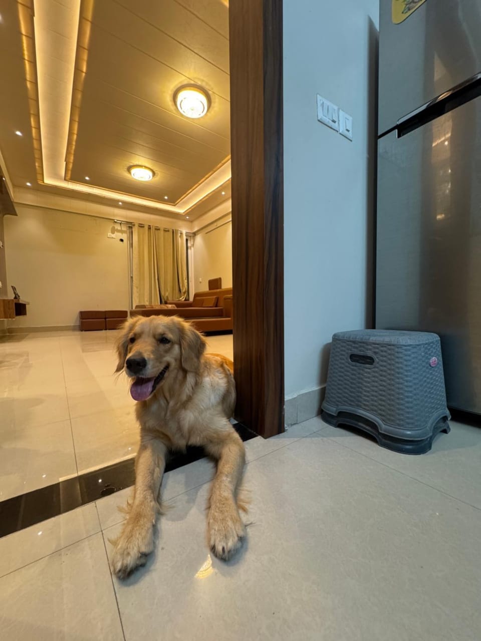 Luxury stay in a flat Apartment in Rajasthan