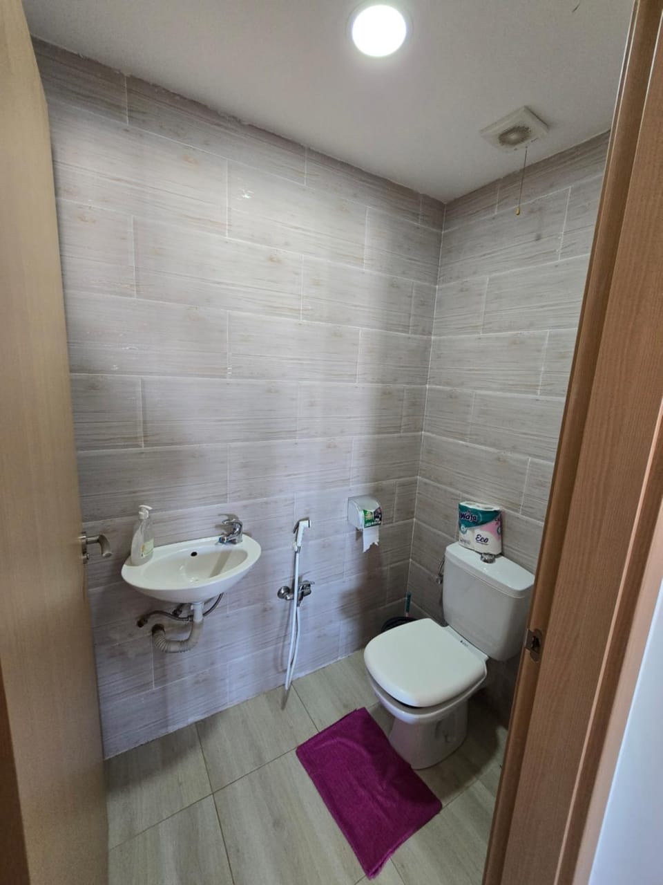 Le Lion Apartment in Oran