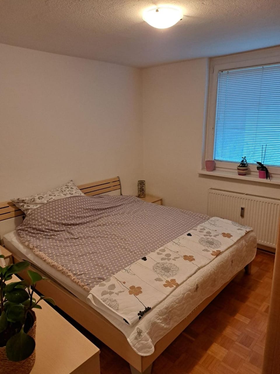 Apartma Vintgar Apartment in Bled