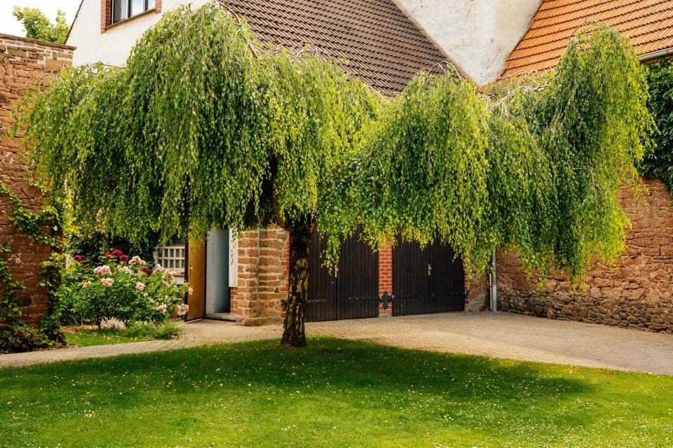 Garden, Garden view