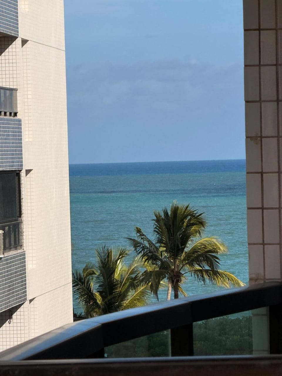 Luxury flat 100 meters from Boa Viagem beach Apartment in Recife