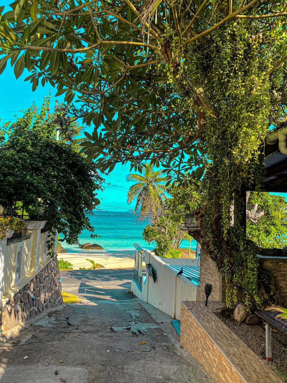 Beach, Sea view, Quiet street view