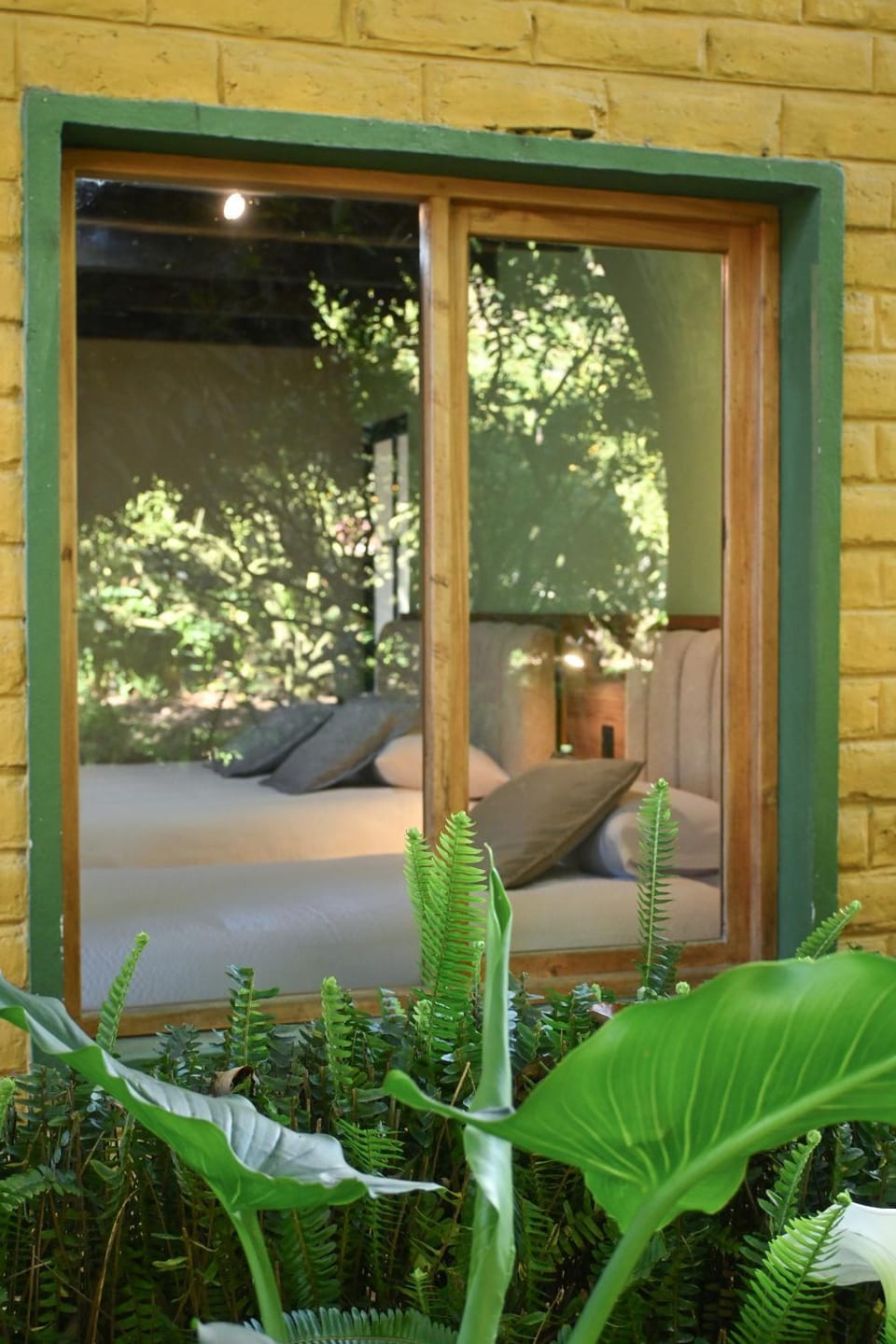 Garden view