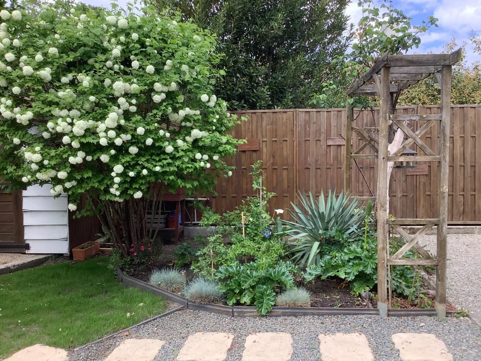 Garden view