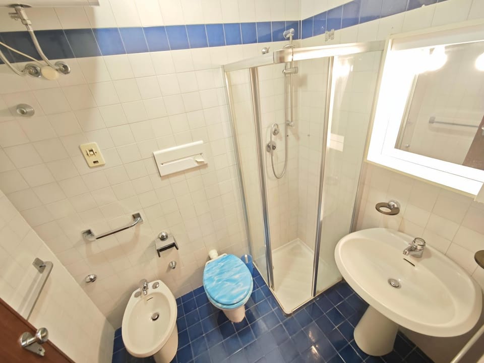 Shower, Toilet, Bathroom, bidet