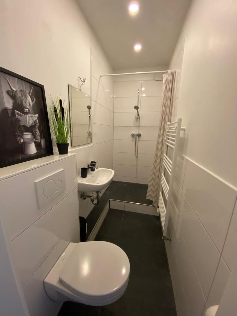 Shower, Toilet, Bathroom