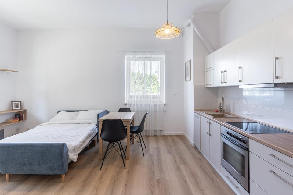 Kitchen or kitchenette, Photo of the whole room, Dining area, oven, stove