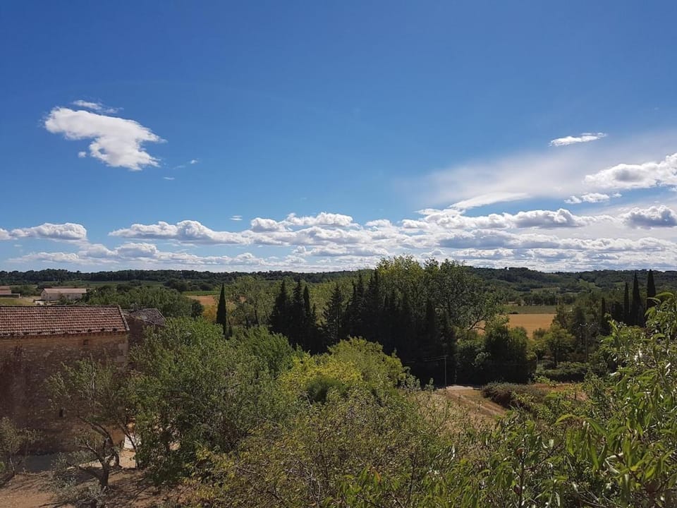 Roulotte Carmen avec Jacuzzi Apartment in Provence