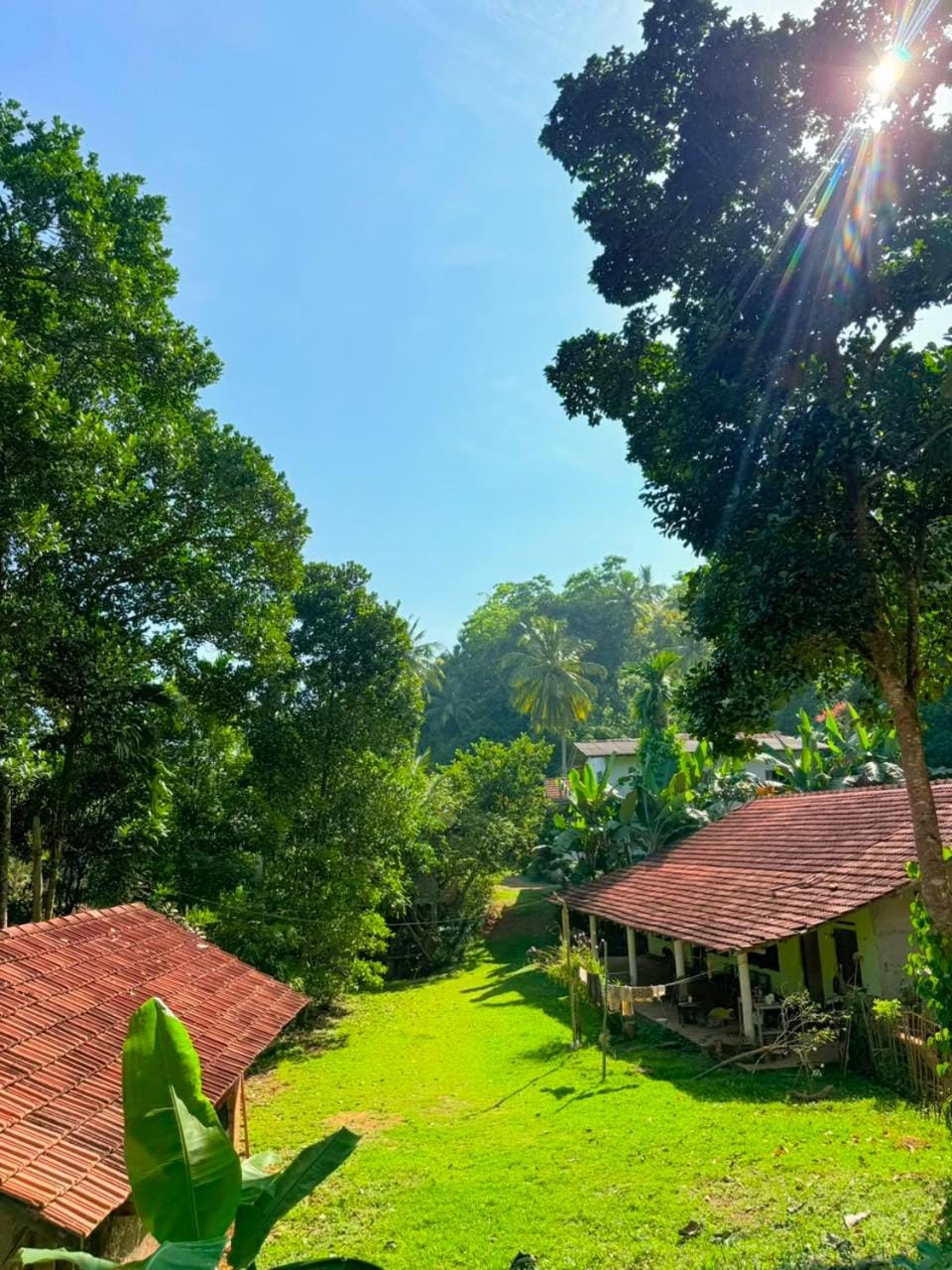 Garden, Garden view