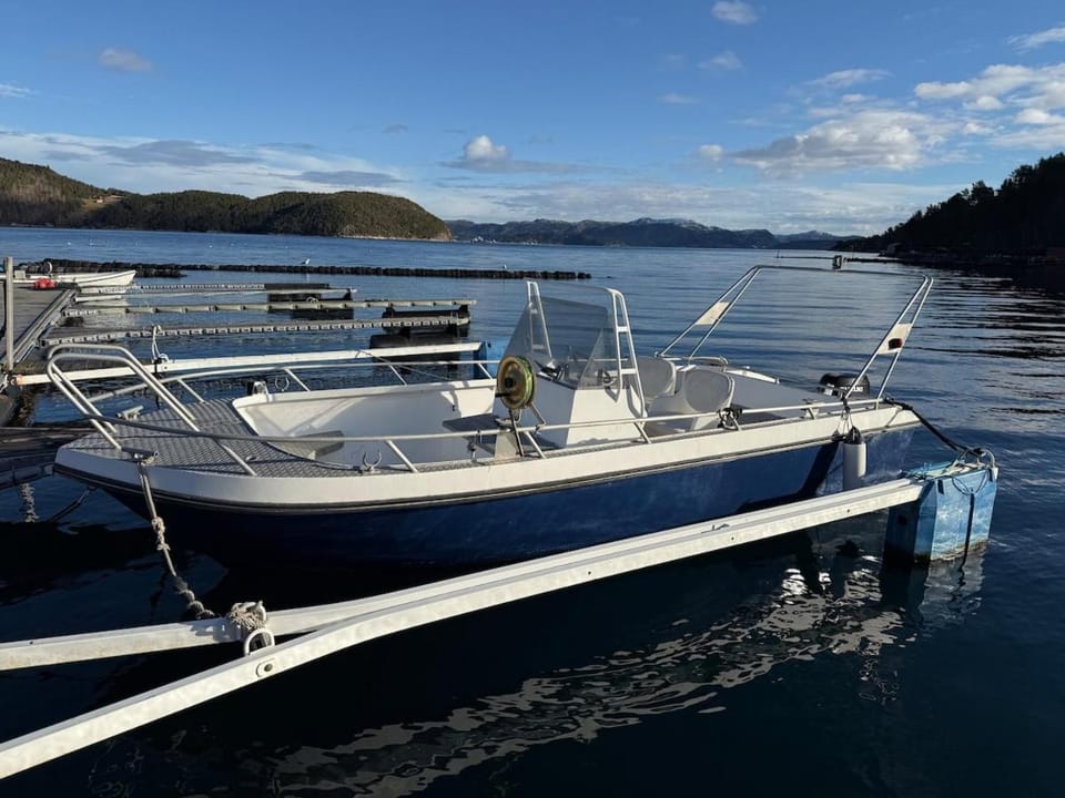 Large cabin near the lake, boat can also be rented Cabin in Trondelag