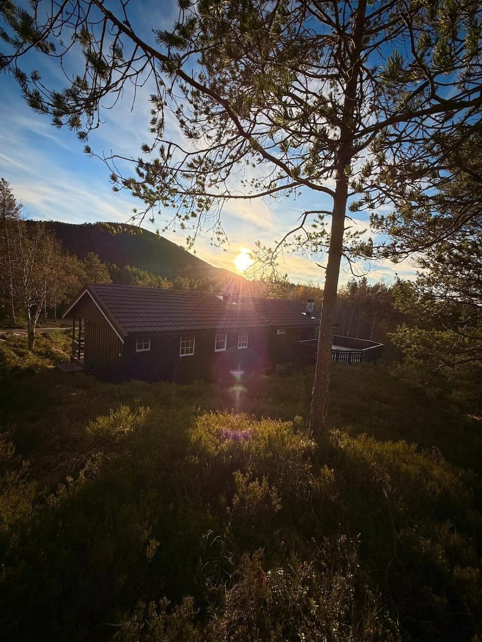 Large cabin near the lake, boat can also be rented Cabin in Trondelag