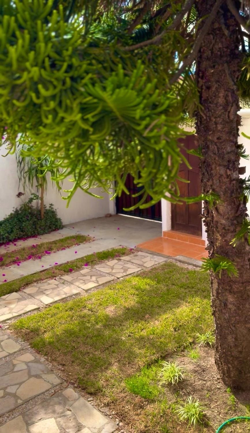Araucarias Na Your home away from home House in San Cristobal de Casas