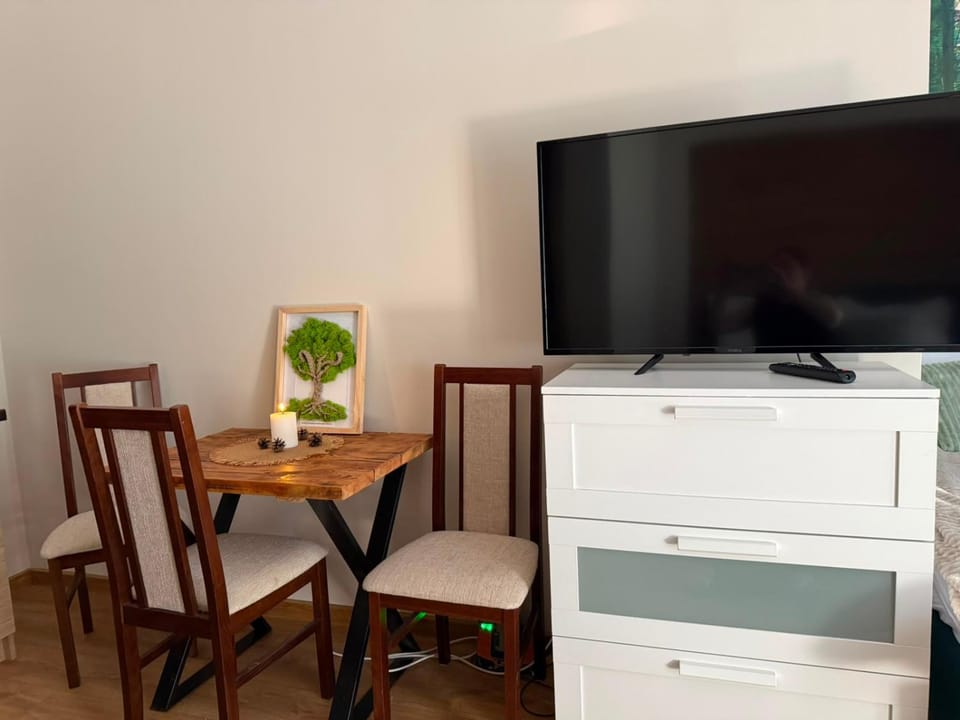 Leśna Przystań Apartment in Poland
