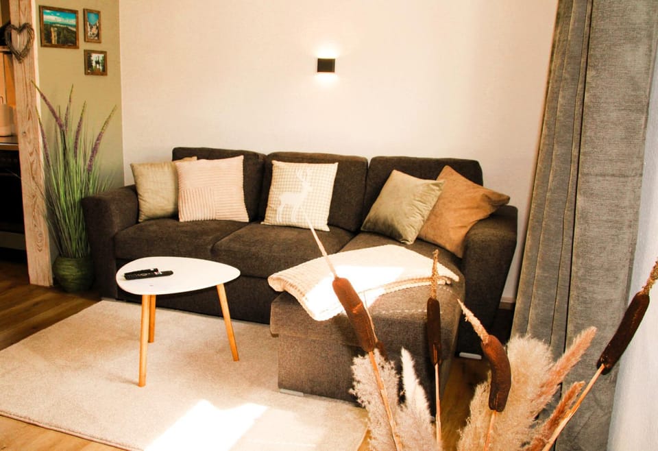 Communal lounge/ TV room, Living room, Seating area