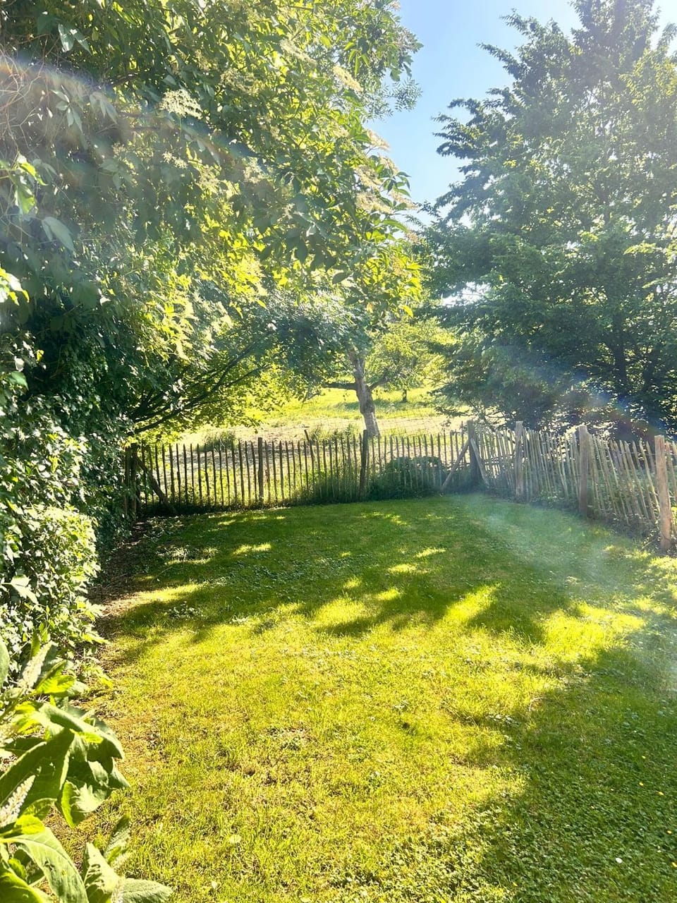 Garden view