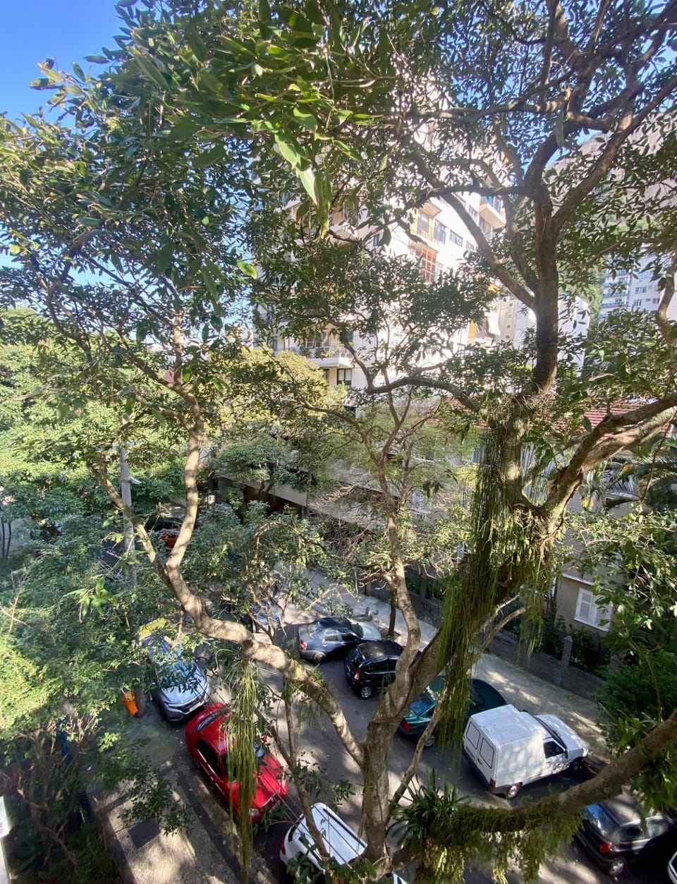 Sea view, Street view