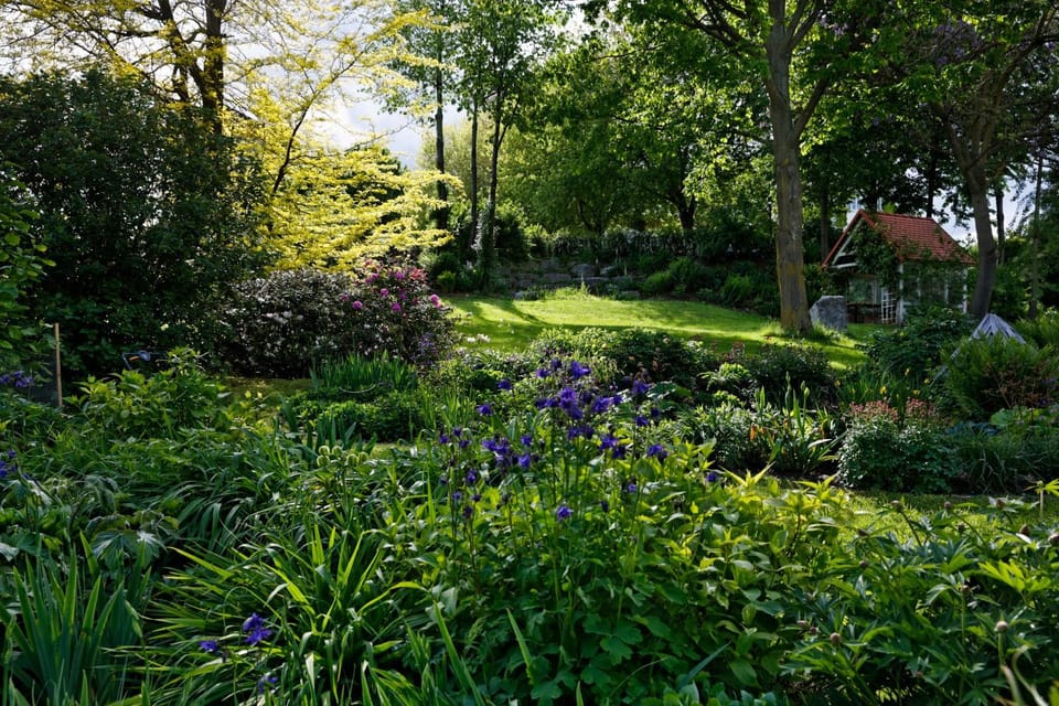 Natural landscape, Garden