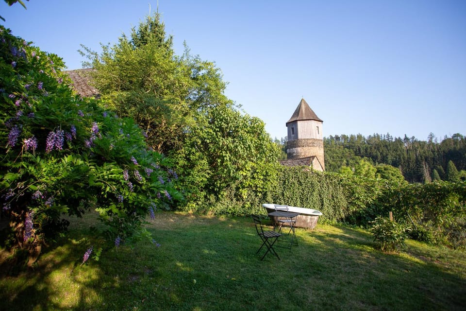 Garden, Garden view, Landmark view